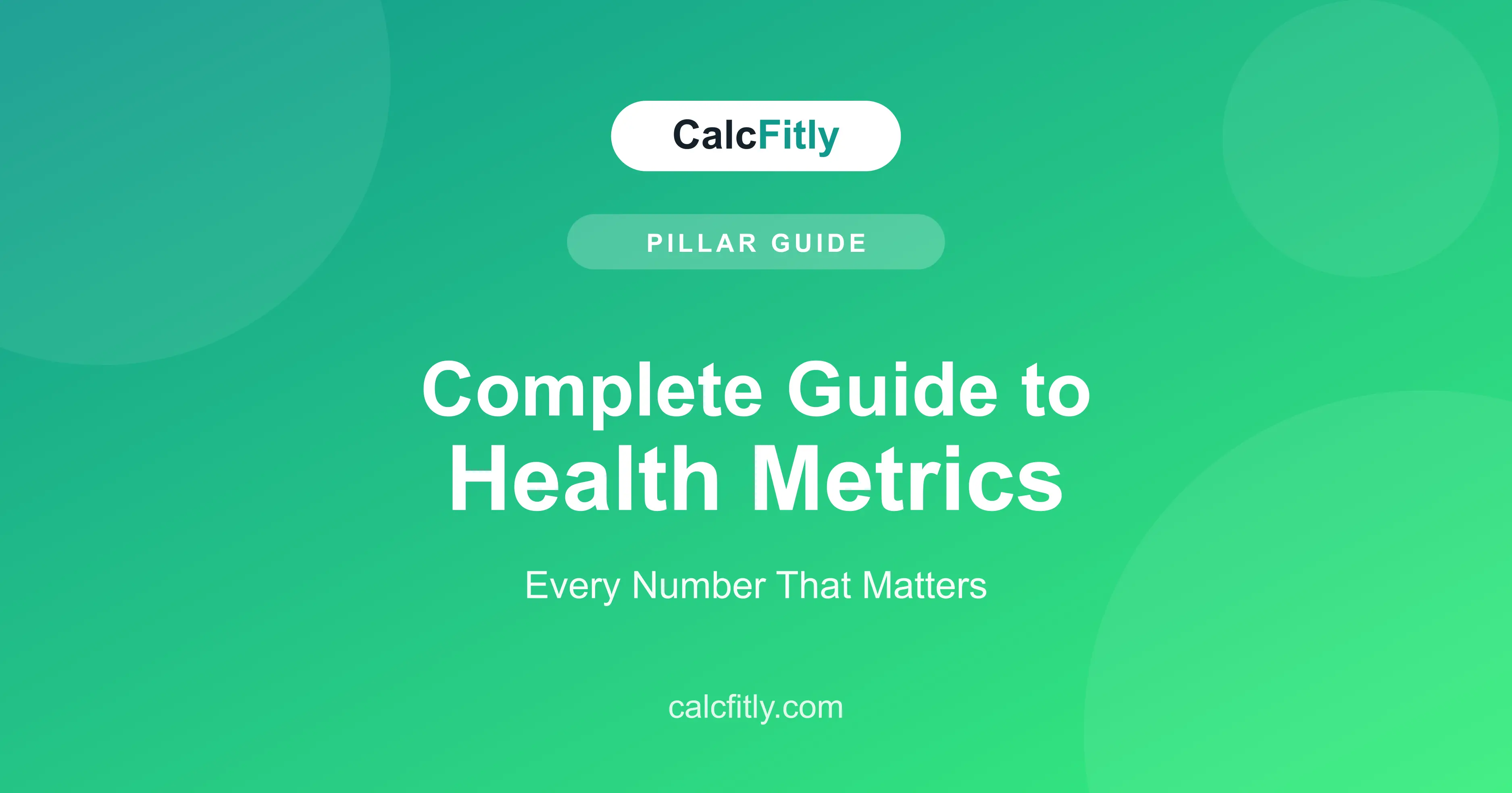 Complete guide to health metrics - BMI body fat BMR TDEE macros and more