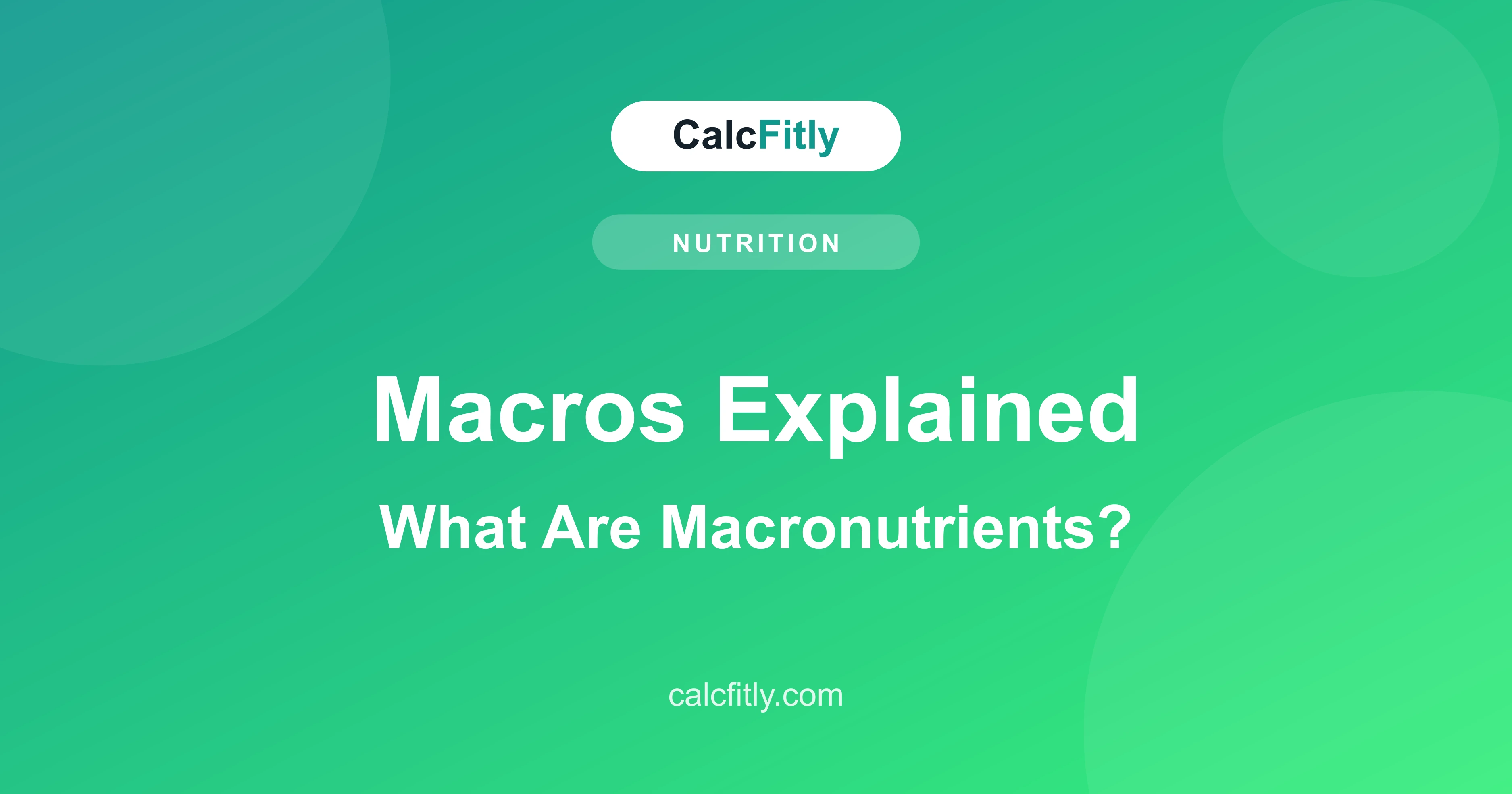 Macros explained - what are macronutrients protein carbs and fat