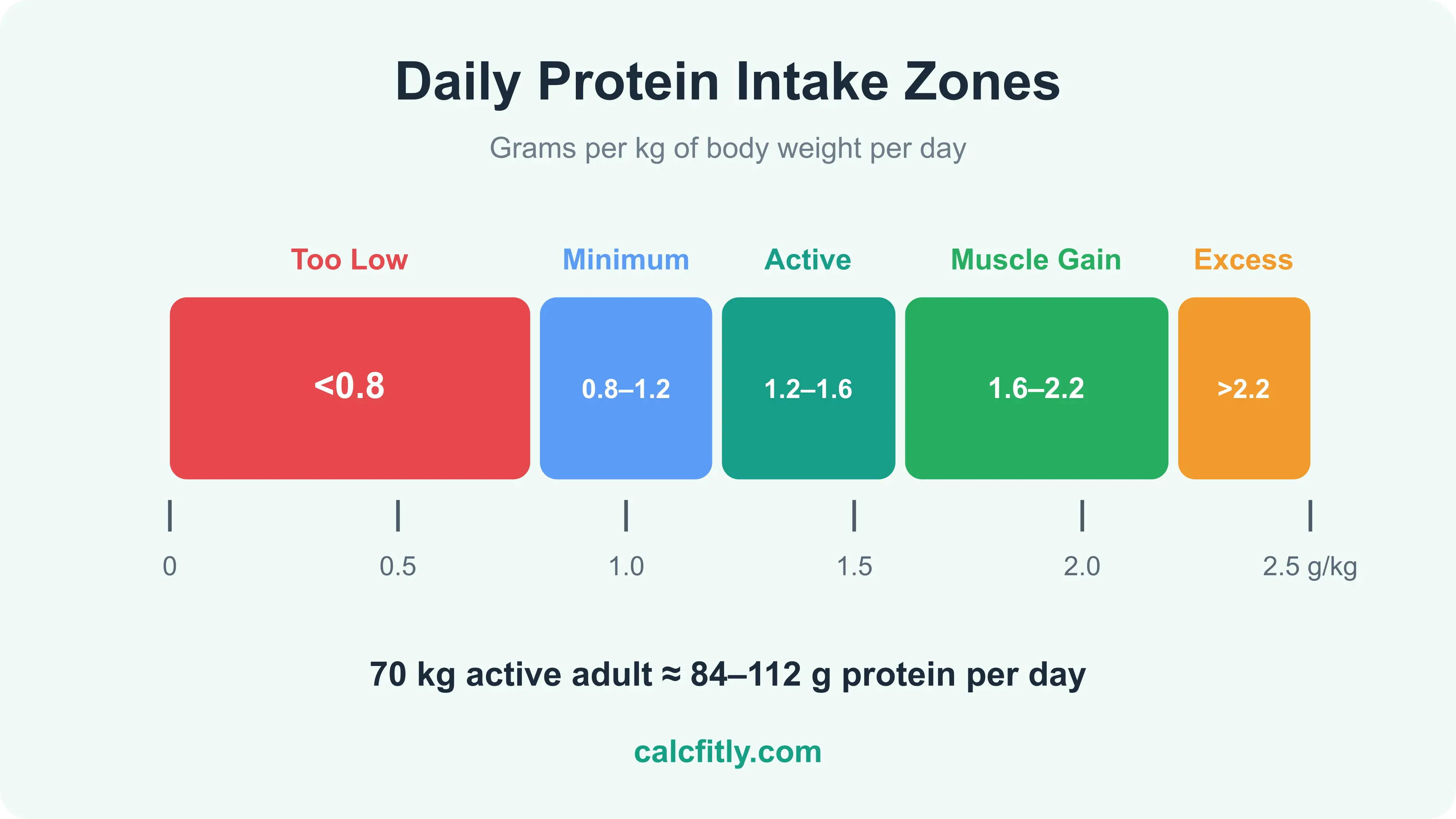 Daily protein intake zones chart - minimum 0.8 g per kg, active 1.2 to 1.6 g, muscle gain 1.6 to 2.2 g per kg